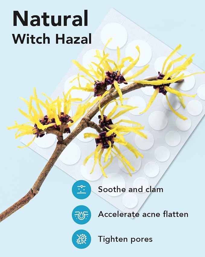 LitBear Acne Pimple Patches- Day and Night 6 Sizes 204 Dots Thin & Thick Hydrocolloid Patches with Witch Hazel, Tea Tree & Calendula Oil, Extra Adhesion for Face Zit Patch Dots