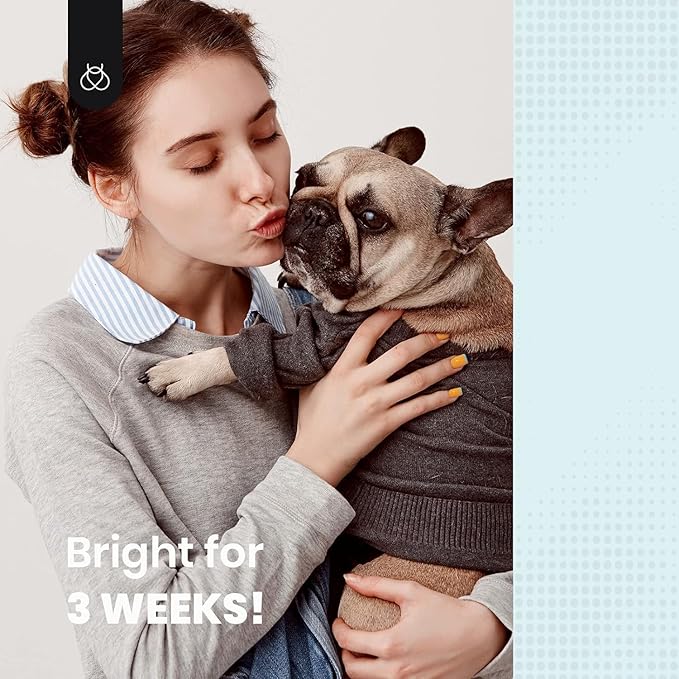 Beetles Matte Top Coat 2 Pcs 15ml No Wipe Gel Glossy Nail Polish Shine Effect Long Lasting Soak Off UV LED Nail Lamp