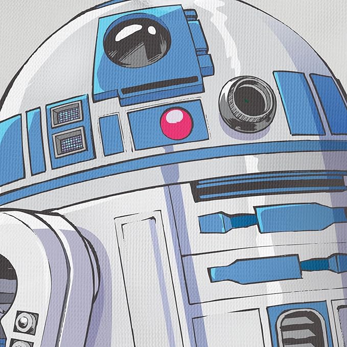 Kitsch x Star Wars R2-D2 Soap Saver Bag – Patented Mesh Bag Soap Holder for Shampoo & Conditioner Bars - Extends Use & Prevents Soggy Mess - Recycled Mesh Beauty Pouch, Eco-Friendly